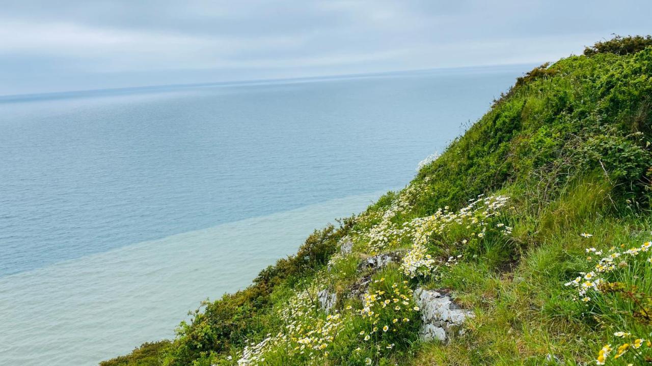 Gordy Hall -Sea Facing Welsh Cottage With Stunning Views Pendine Exteriör bild