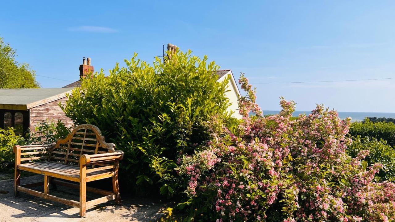 Gordy Hall -Sea Facing Welsh Cottage With Stunning Views Pendine Exteriör bild